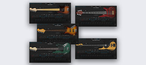5in1 Electric Bass Bundle