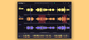 VocAlign 6 Pro