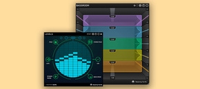 BASSROOM + FREE Copy Of LEVELS