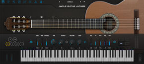 Ample Guitar L
