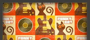 Funky Cat Strum GS-2 Sound Bank