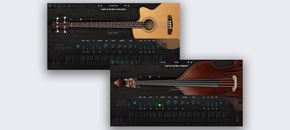 2in1 Acoustic Bass Bundle