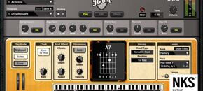 Strum GS-2
