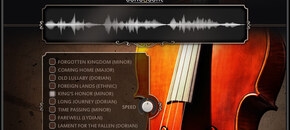 Lyrical Cello Phrases