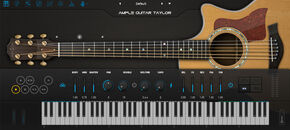 Ample Guitar T