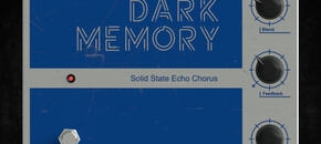 Dark Memory