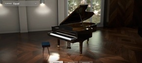 Stage Piano