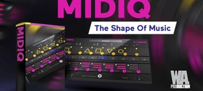 MIDIQ