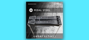 Pedal Steel