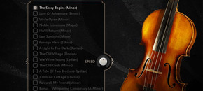 Lyrical Violin Phrases