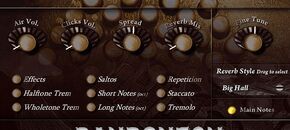 The Bandoneon