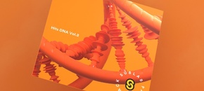 SubLab Sound Pack - Hits DNA: Vol. 2