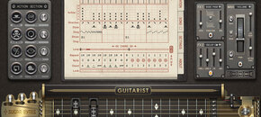 Guitarist