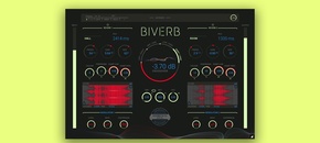 Biverb