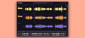 VocAlign 6 Standard Crossgrade from RePitch or Revoice Pro