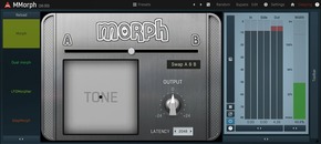 MMorph