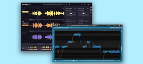 RePitch Standard + VocAlign Pro Bundle